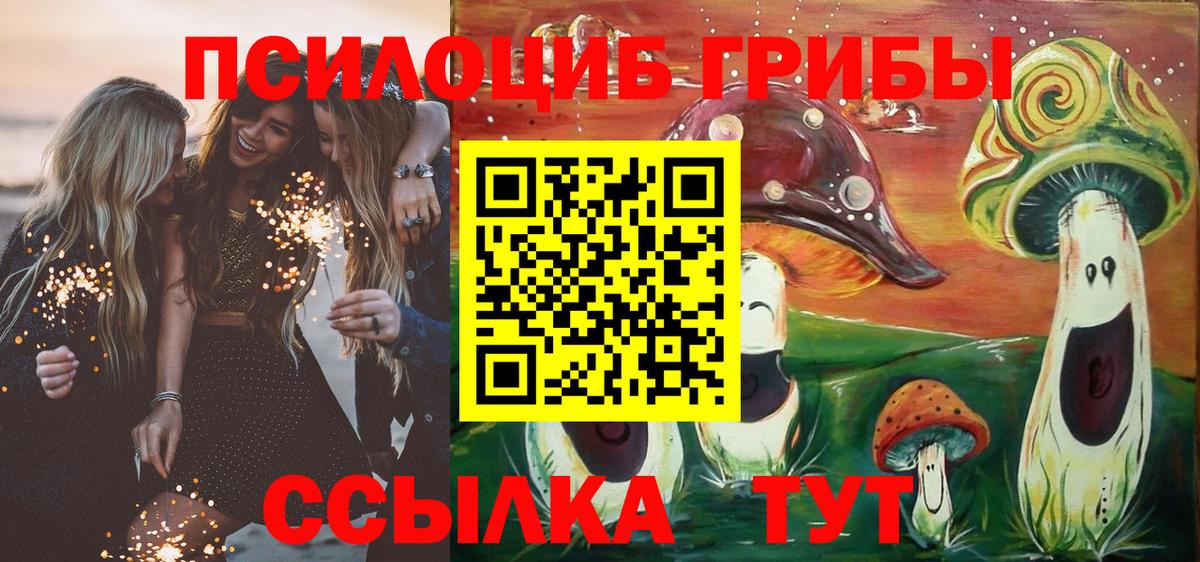 Псилоцибиновые грибы Cubensis Родники