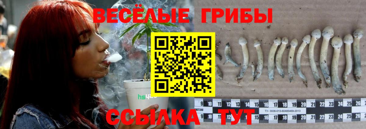 Родники  Псилоцибиновые грибы Psilocybine cubensis  купить  цена  Вход с VPN 
