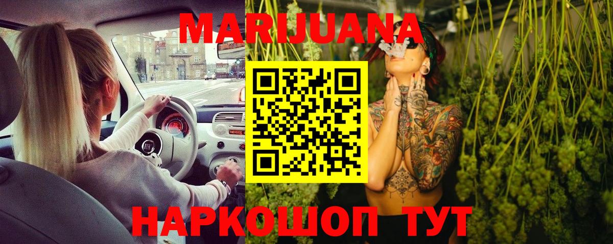 Бошки марихуана OG Kush Родники